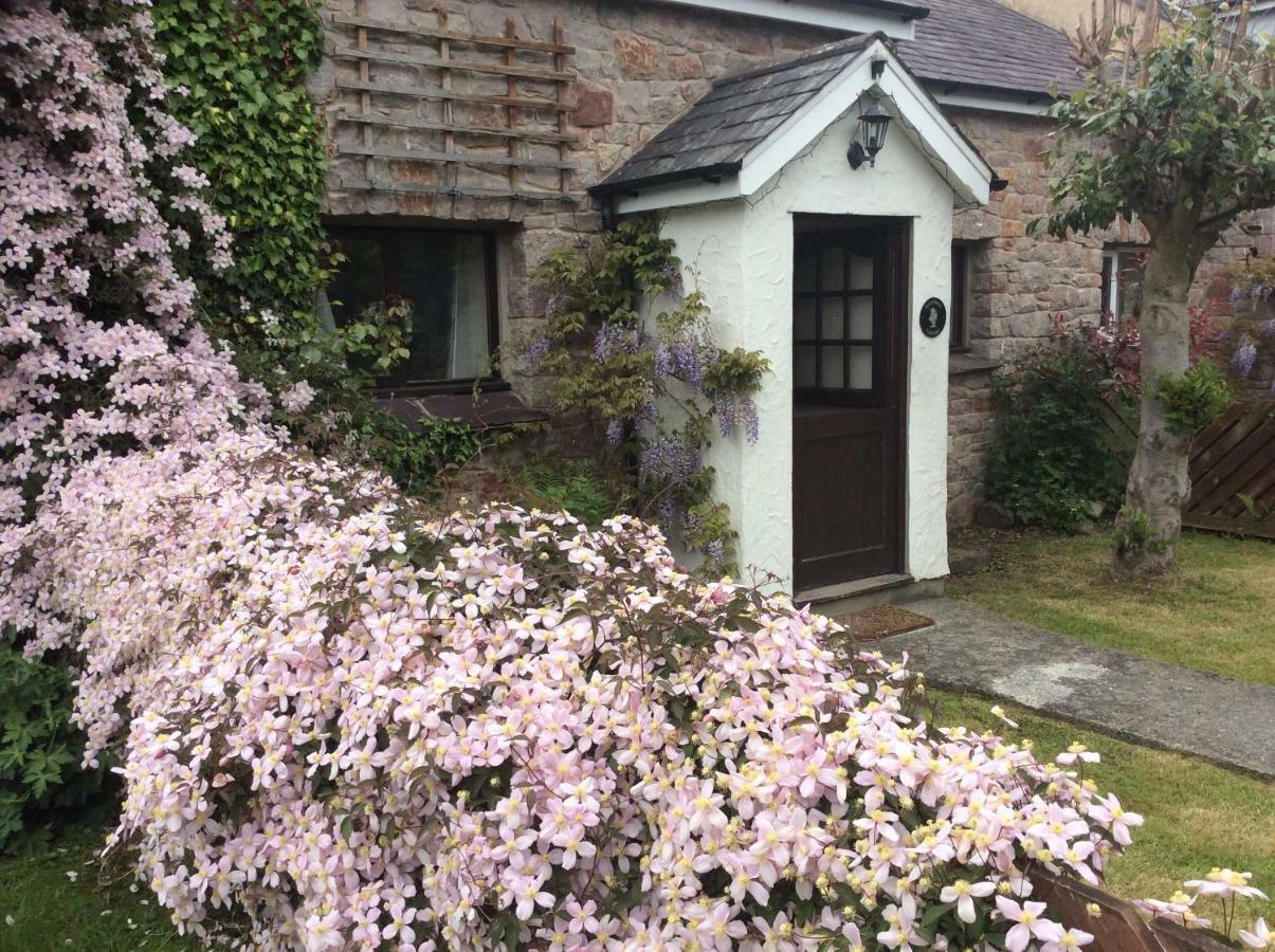 Sycamore Cottage Conwy Dış mekan fotoğraf