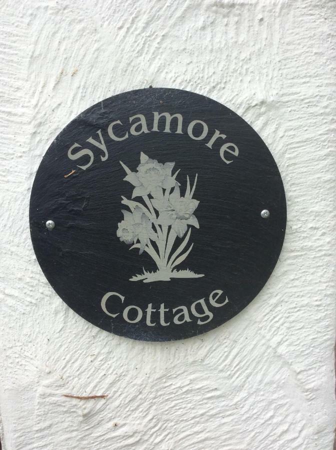 Sycamore Cottage Conwy Dış mekan fotoğraf